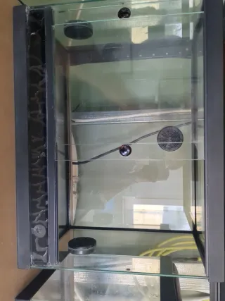 Terrario Negro y Transparente con placa de calor.