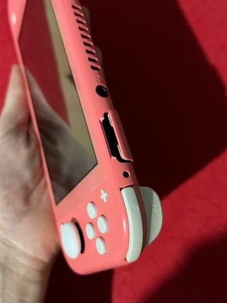 Nintendo switch Lite con caricabatterie