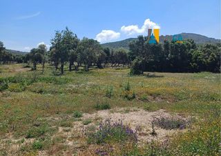 Terreno en venta en Benalup-Casas Viejas