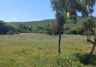 Terreno en venta en Benalup-Casas Viejas