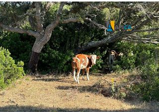 Terreno en venta en Benalup-Casas Viejas