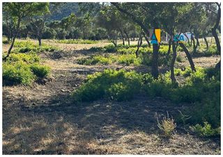 Terreno en venta en Benalup-Casas Viejas