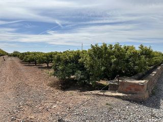 Terreno en venta en Puig ciudad en Puig