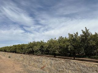 Terreno en venta en Puig ciudad en Puig