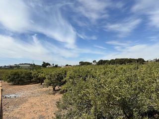 Terreno en venta en Puig ciudad en Puig