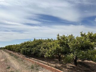 Terreno en venta en Puig ciudad en Puig