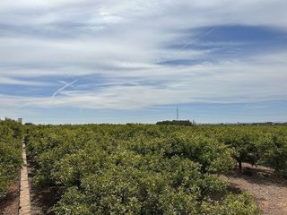 Terreno en venta en Puig ciudad en Puig