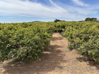 Terreno en venta en Puig ciudad en Puig