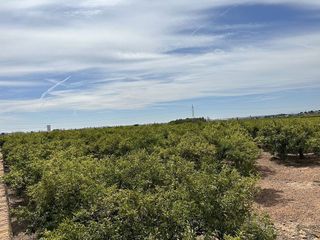 Terreno en venta en Puig ciudad en Puig