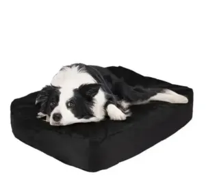 Cama hinchable perro 80x60 cm