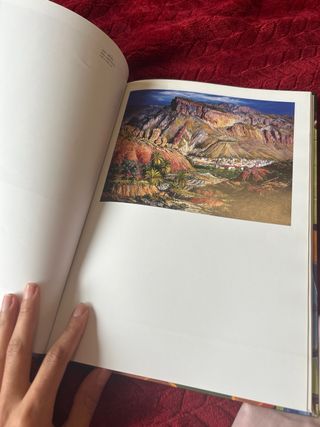 Libro IV Premio Parraga Murcia