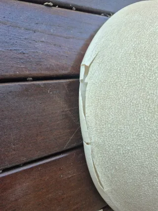 Conjunto terraza sillas Panton y mesa