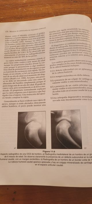 Manual de Artrología en Pequeños Animales