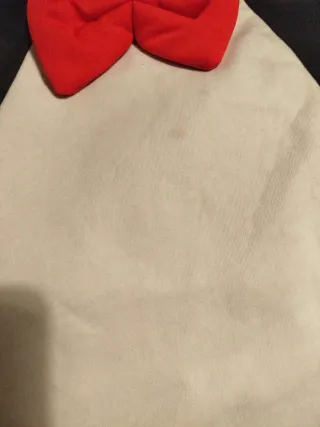 Disfraz Pingüino 3-4 años