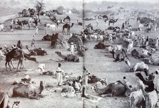 Photography Year Book 1962 Hall Norman Libro foto