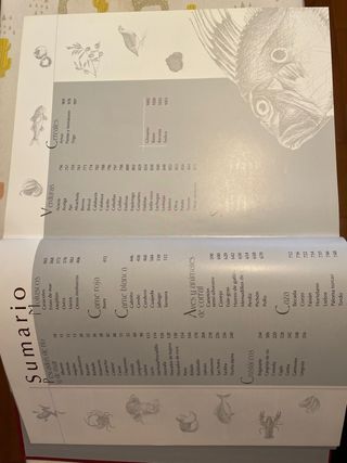 Gran libro de cocina de Alain Ducasse (Spanish ...