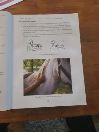 Application of Tui-Na In Veterinary Medicine, 2...