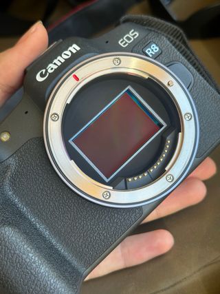 Canon EOS R8 + Canon RF 24-105mm f/4 L