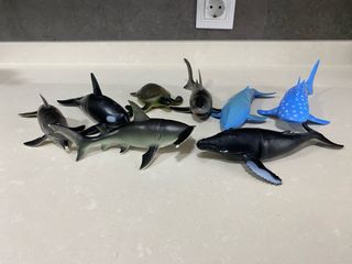 Conjunto animales marinos