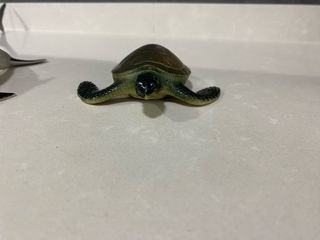 Conjunto animales marinos