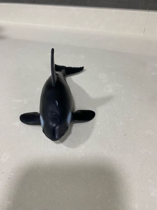 Conjunto animales marinos