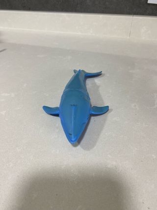 Conjunto animales marinos