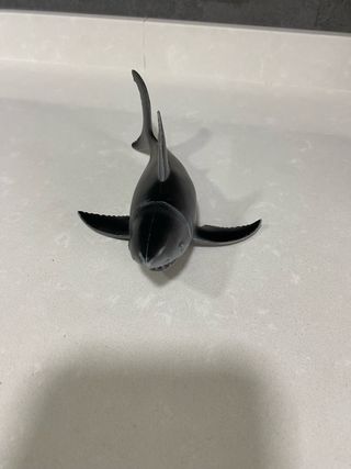 Conjunto animales marinos