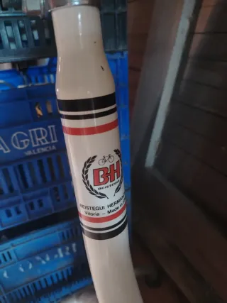 Bicicleta Estàtica BH Vintage