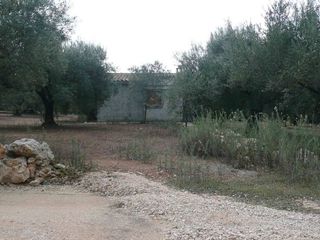 Terreno en venta en Ulldecona