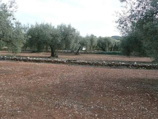 Terreno en venta en Ulldecona