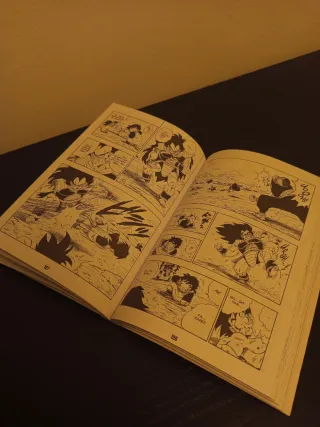 Bola de Drac nº 14/34 PDA