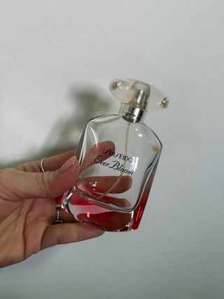 Collezione bottiglie profumo vuote