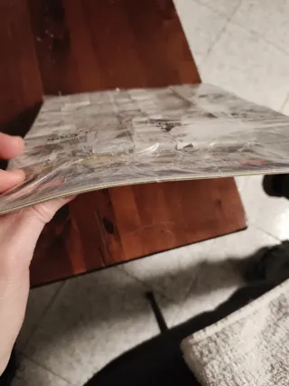 Album Oceania Disney Panini