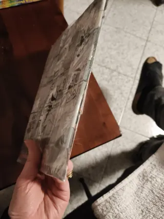 Album Oceania Disney Panini