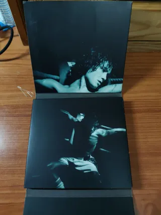 CD Flamingos de Bunbury