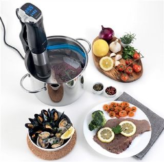 ARIETE Cocción al Vacío Sous Vide 180