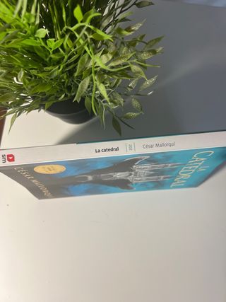 La catedral (Spanish Edition)