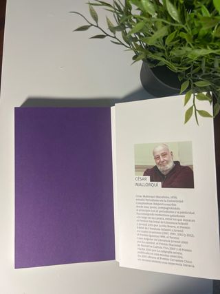 La catedral (Spanish Edition)