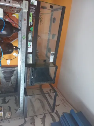 Terrarios y acuarios baratos