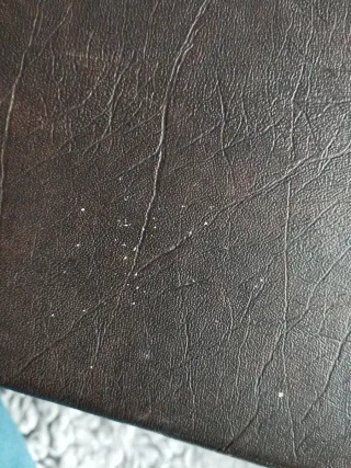 Estuche robusto de violín marca FAMA + accesorios