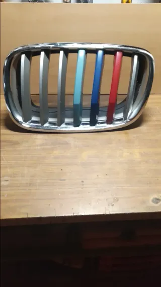 Rejilla Riñón izq. BMW X5 y X6