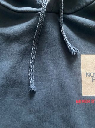 Sudadera The North Face Azul
