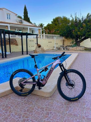 Specialized Turbo Levo Flight Attendant size S3