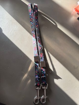 Vari attrezzi da toelettatura