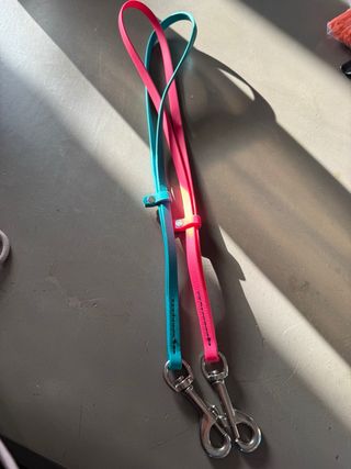 Vari attrezzi da toelettatura