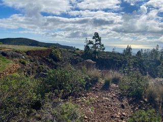 Terreno en venta en Charco del Pino en Granadilla de Abona