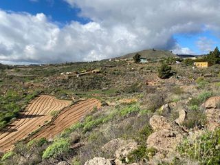Terreno en venta en Charco del Pino en Granadilla de Abona