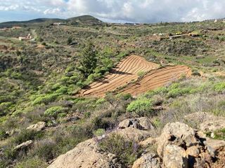 Terreno en venta en Charco del Pino en Granadilla de Abona