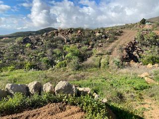 Terreno en venta en Charco del Pino en Granadilla de Abona