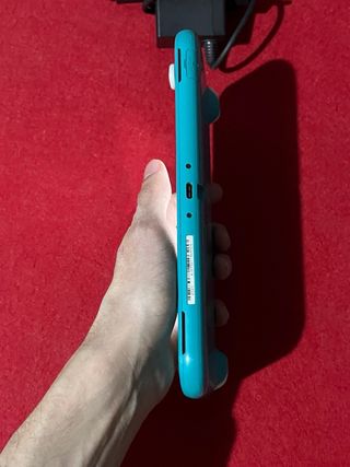 Nintendo Switch Lite + Caricabatterie